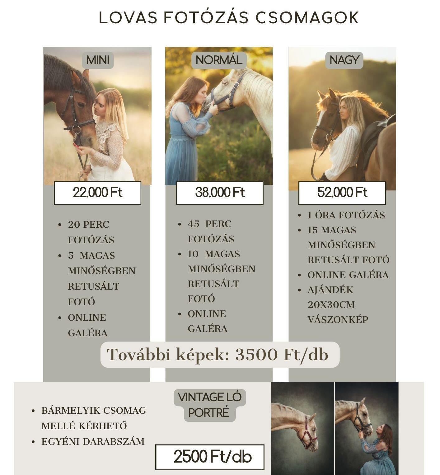 Lovas portré fotózás Lovas portré fotózás