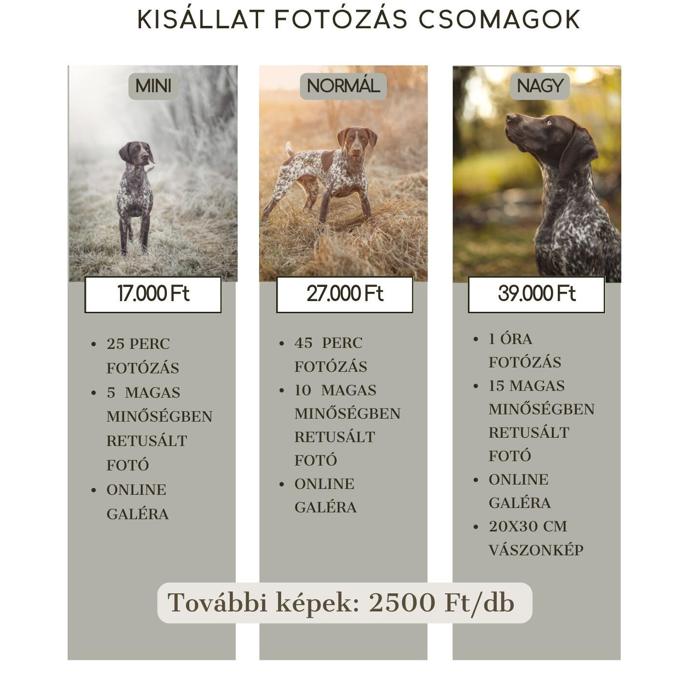 Kisállat fotózás Kisállat fotózás